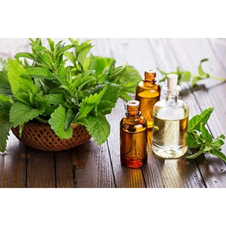 Nane Yağı 10 Ml