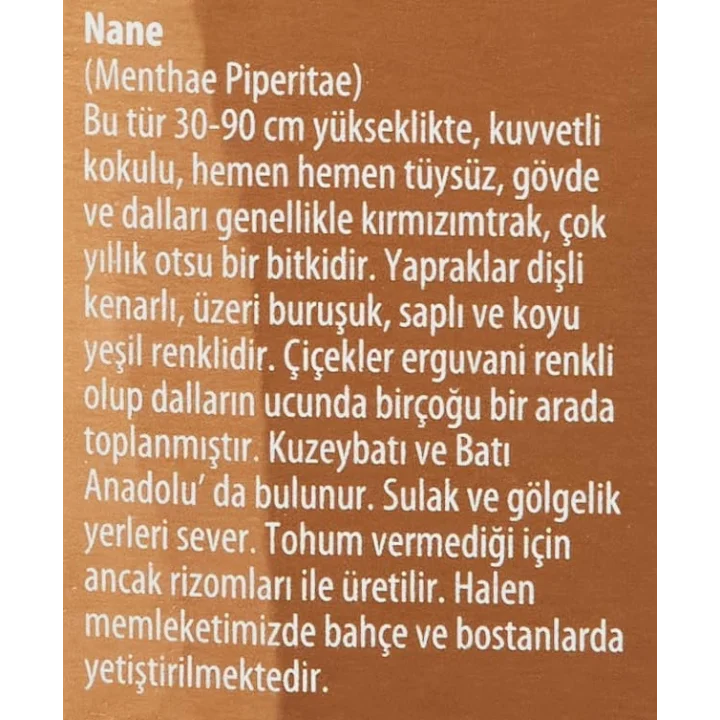 Nane Yaprağı Yağı (20 ml)