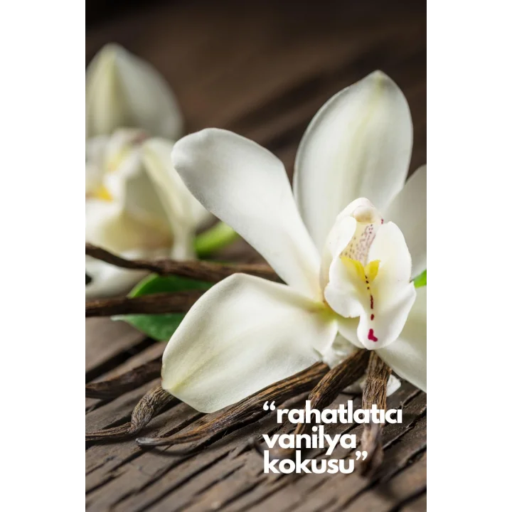Natures Scents Vanilla- Vanilya Oda Kokusu Yedek Makine Spreyi 250 ml