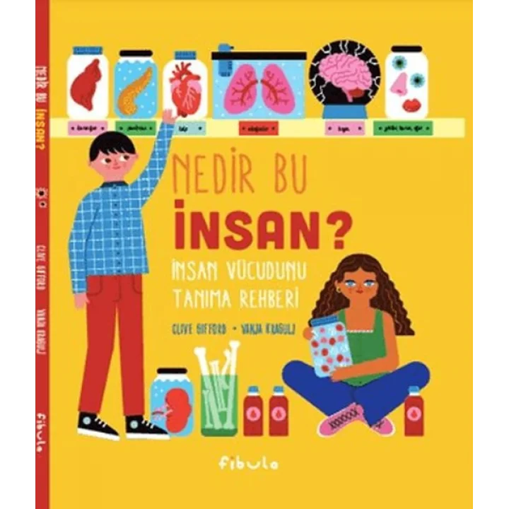 Nedir Bu İnsan? İnsan Vücudunu Tanıma Rehberi