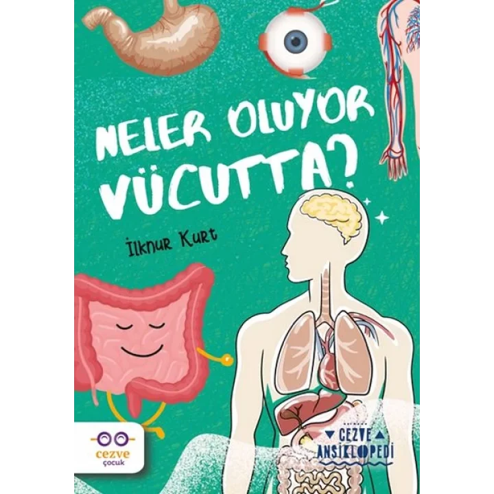 Neler Oluyor Vücutta ? – Cezve Ansiklopedi