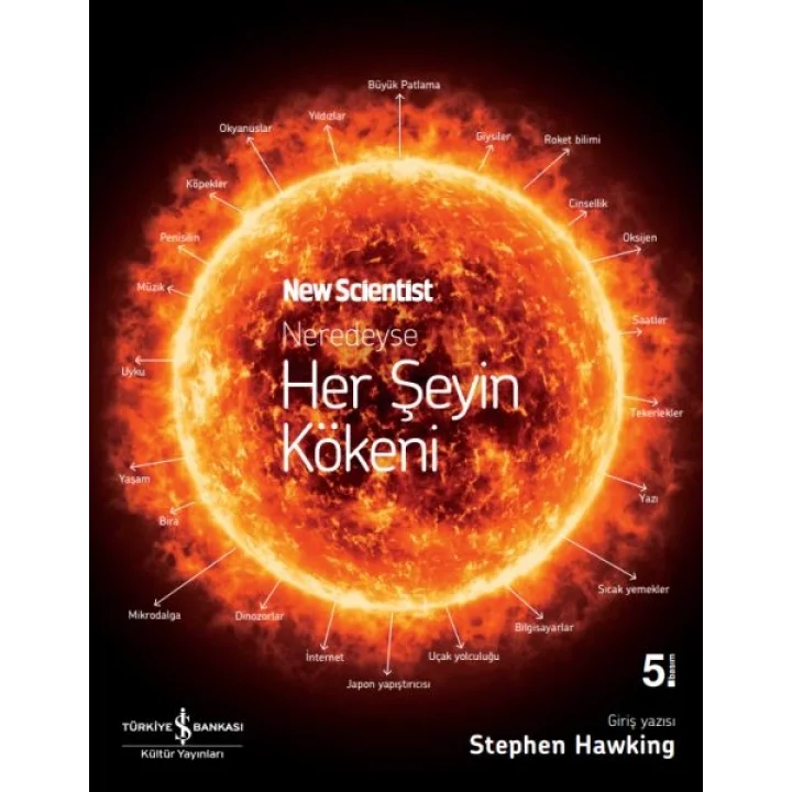 Neredeyse Her Şeyin Kökeni