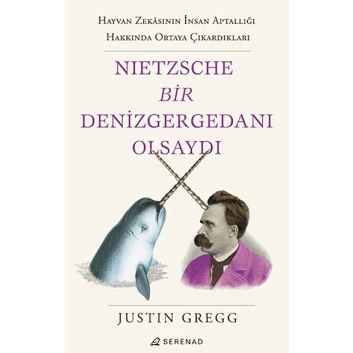 Nietzsche Bir Denizgergedanı Olsaydı