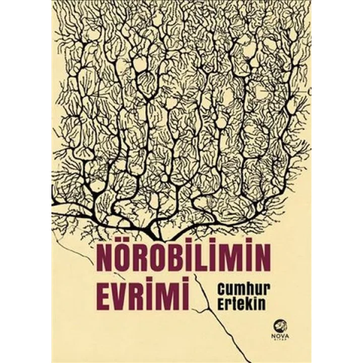 Nörobilimin Evrimi 