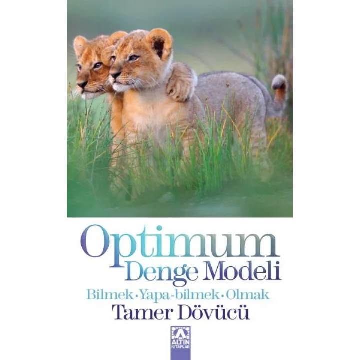 Optimum Denge Modeli