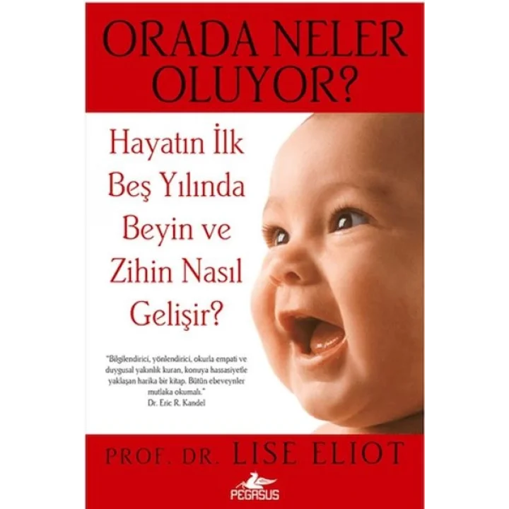 Orada Neler Oluyor