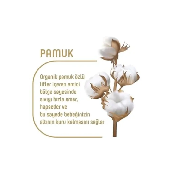 Organik Pamuklu Cırtlı Bez Ekonomik Paket 4 Numara Maxi 200 Adet