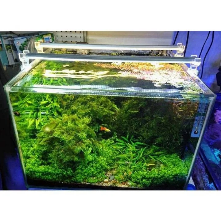 OrionLed Akvaryum Led Aydınlatma Daylight 80Cm 3000K
