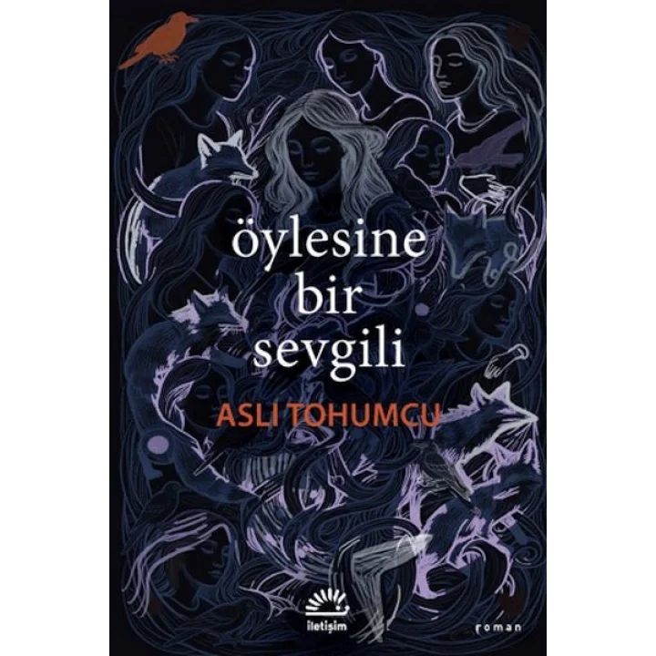 Öylesine Bir Sevgili