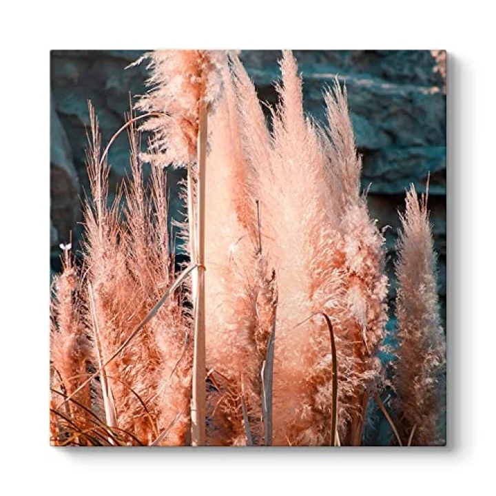 Pampas Otu Tablosu 30 x 30