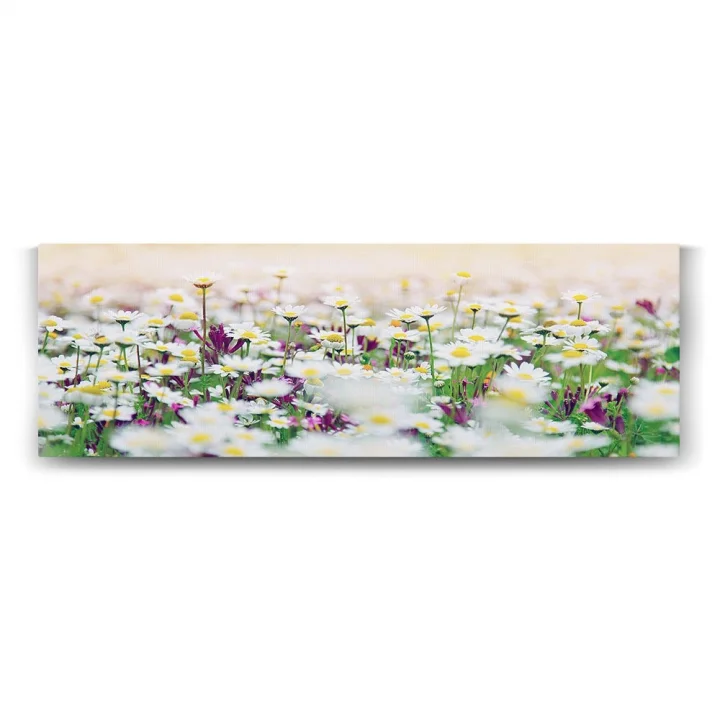 Papatya Tarlası Panorama Tablo - 120x40cm