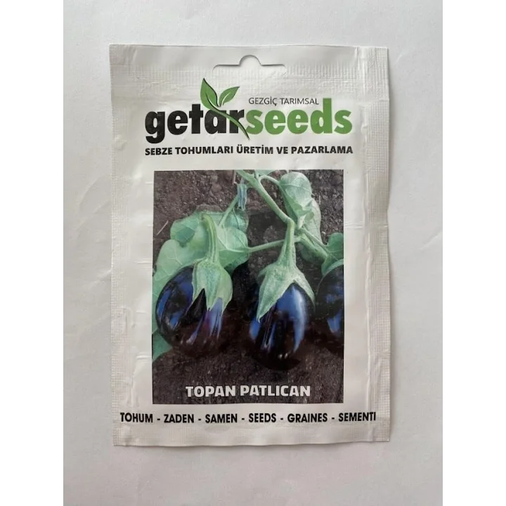 PATLICAN TOPAN (ÇOKLU TOHUM) - 5 Gram