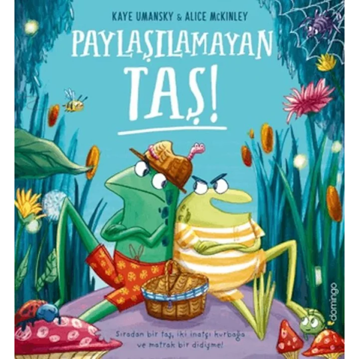 Paylaşılamayan Taş