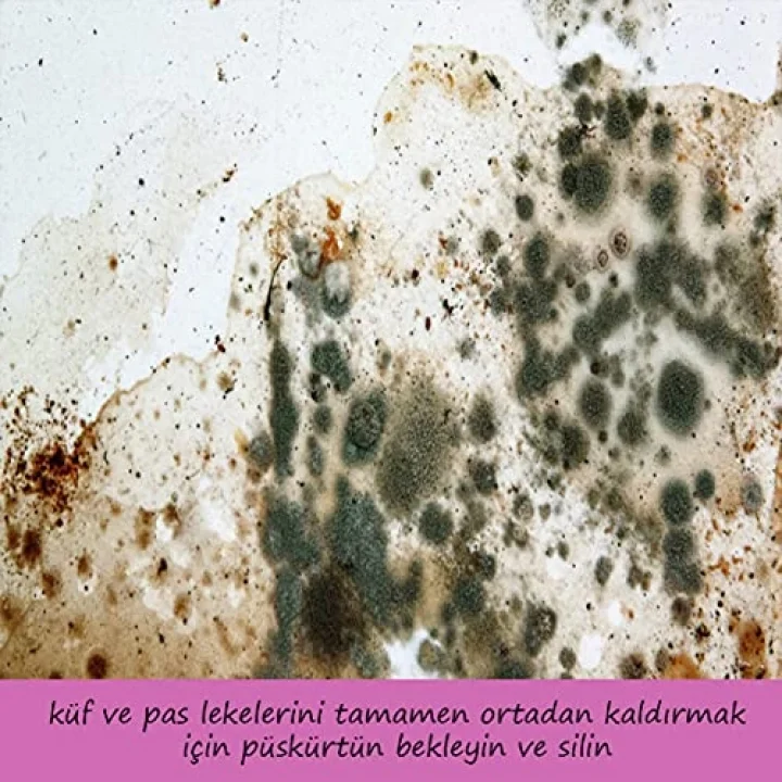 Perde-Stor-Jaluzi Temizleyici