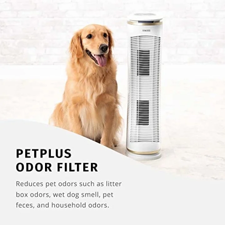 Pet Plus Yedek Koku Filtresi, Siyah