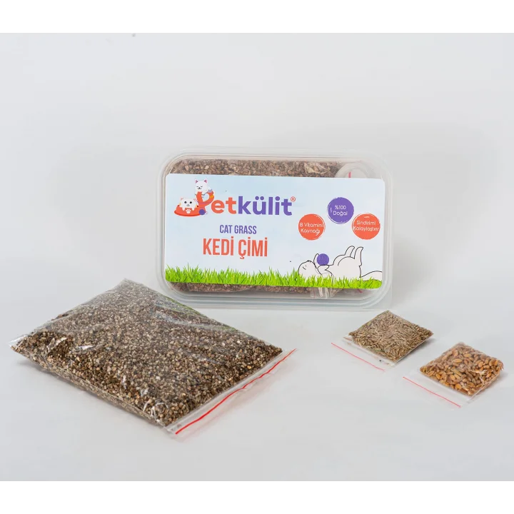 Petkülit Kedi Çimi - Şeffaf