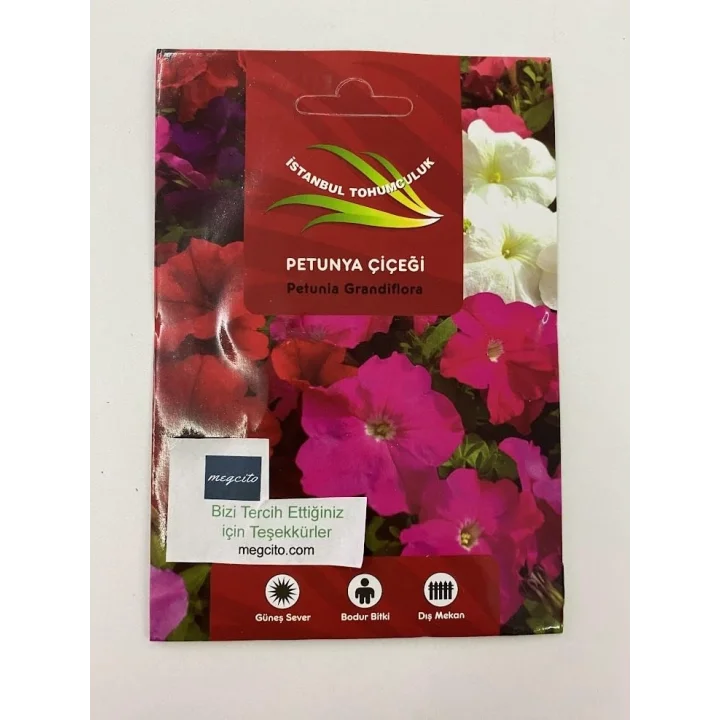 PETUNİA (ÇOKLU TOHUM) - 80 Tohum - KARIŞIK Renk