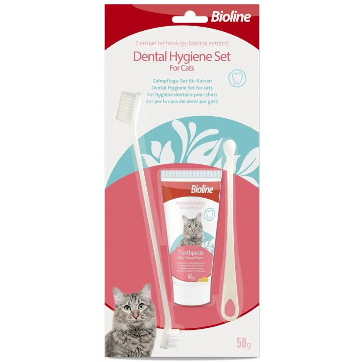 Peynir Aromalı Kedi Ağız Bakım Seti