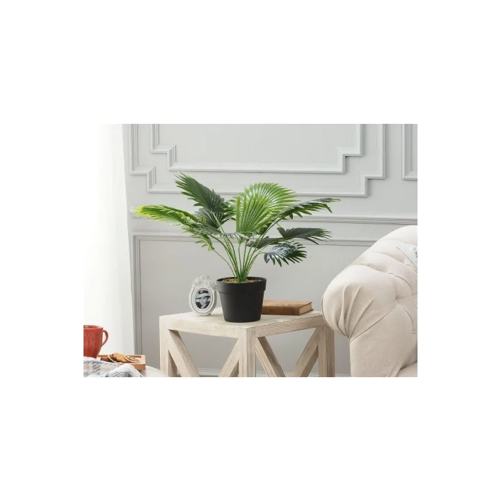 Plaquela Saksılı Bitki
