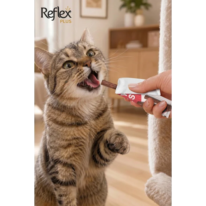 Plus Meaty Mini Sticks Kedi Ödül Maması 5 Adet x 2 gr x 4 Çeşit