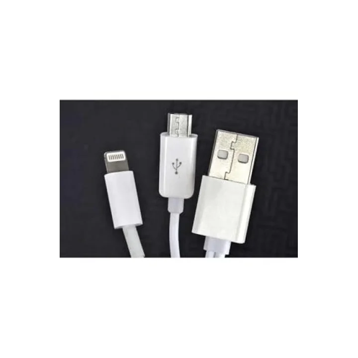 PSR aksesuar Beyaz Beyaz 2 Uçlu Lightning-Micro Usb Kablo 1M- ile uyumlu