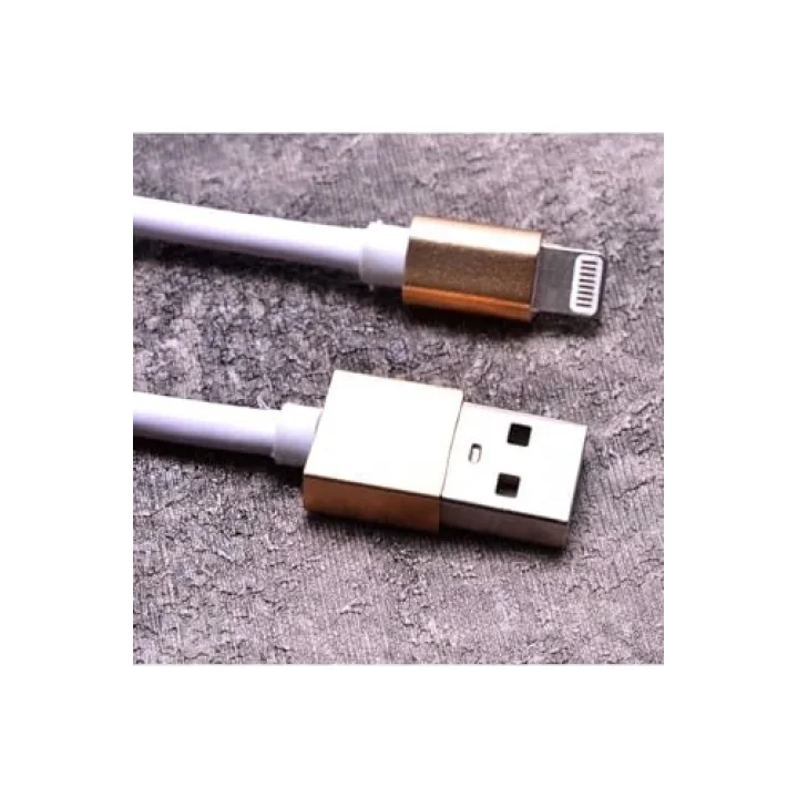 PSR aksesuar Beyaz Beyaz Lightning Hızlı Şarj Kablo- ile uyumlu