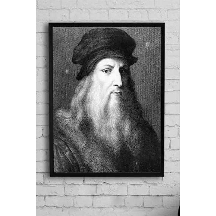 (pster10613) Vinci Bilimsel Çerçeveli Tablo (30 X 40cm)