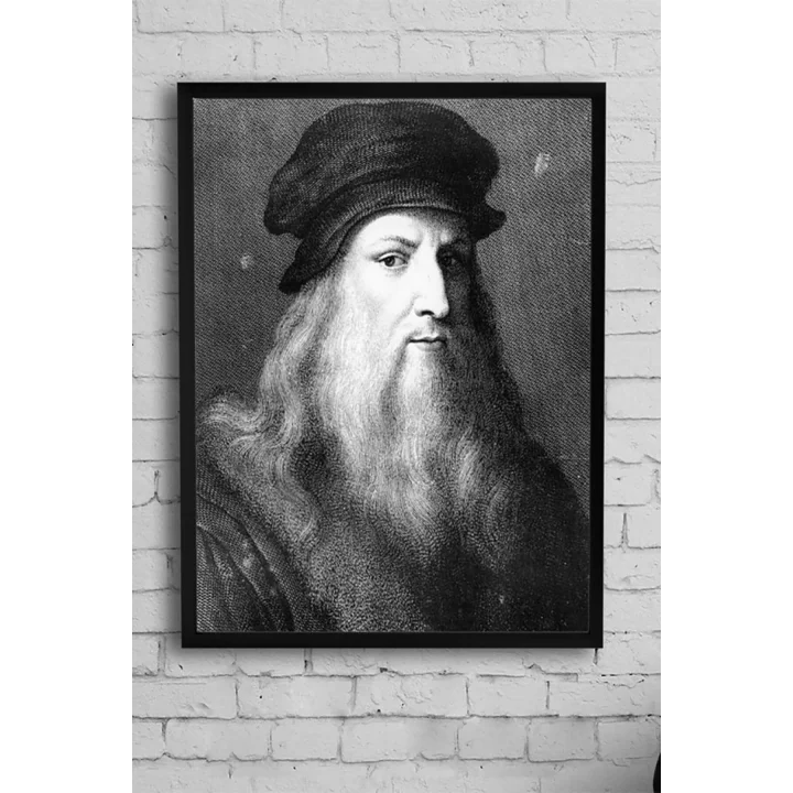 (pster10613) Vinci Bilimsel Çerçeveli Tablo (30 X 40cm)