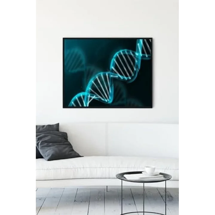 (pster10713) Dna Bilimsel Çerçeveli Tablo (30 X 40cm)