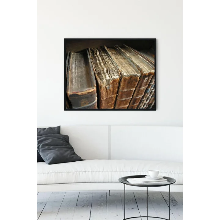 (pster10899) Eski Kitap Çerçeveli Tablo (21x30cm)