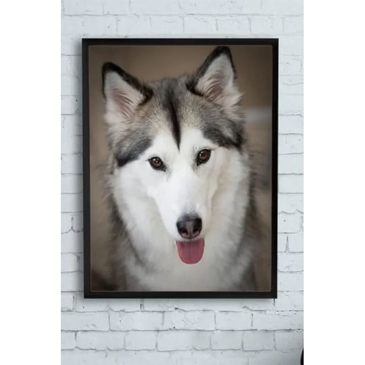 (pster11279) Husky Hayvan Çerçeveli Tablo (21x30cm)