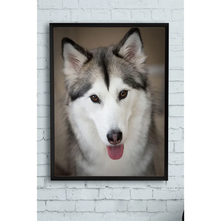 (pster11279) Husky Hayvan Çerçeveli Tablo (21x30cm)