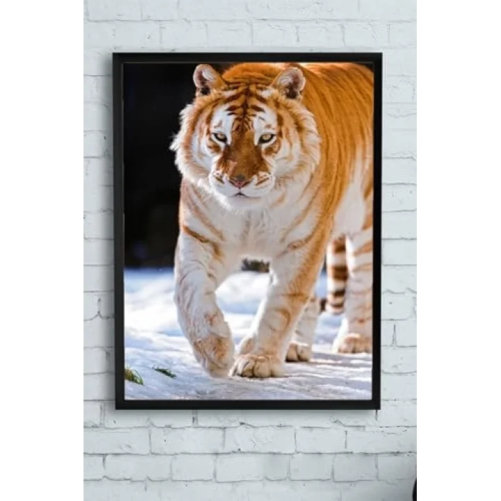 (pster11500) Kaplan Hayvan Çerçeveli Tablo (50x70cm)