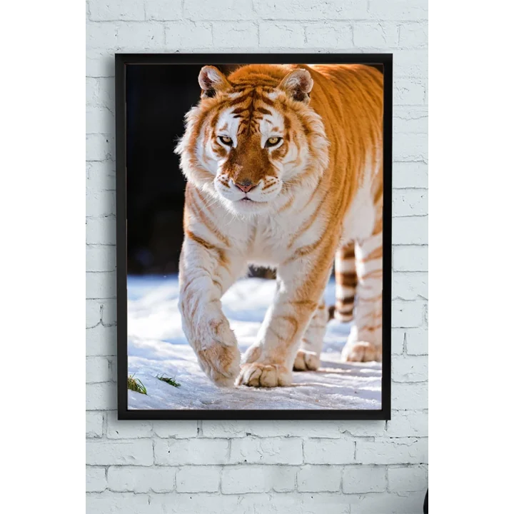 (pster11500) Kaplan Hayvan Çerçeveli Tablo (50x70cm)