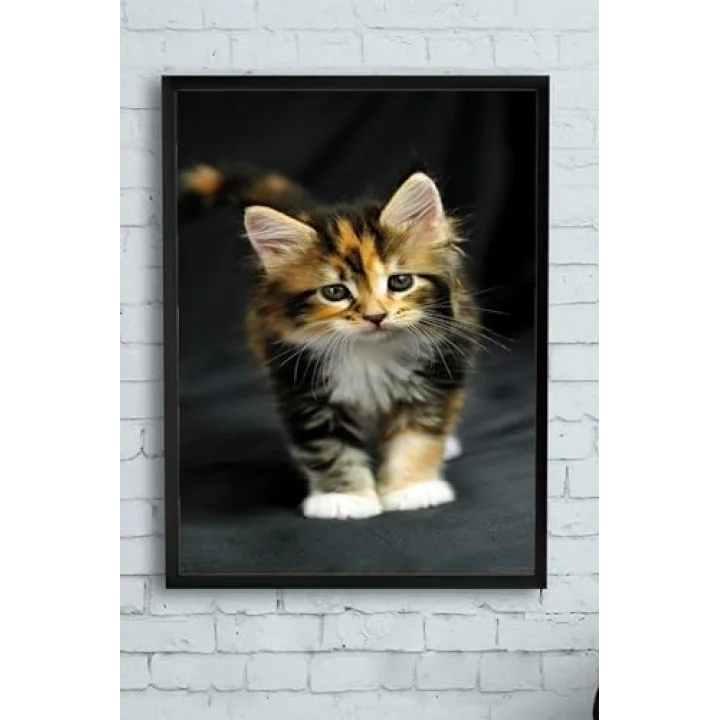 (pster11543) Kedi Hayvan Çerçeveli Tablo 2 (30 X 40cm)