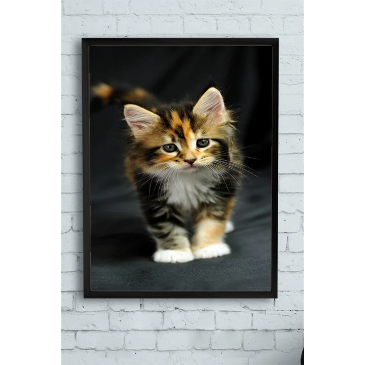 (pster11543) Kedi Hayvan Çerçeveli Tablo 2 (30 X 40cm)