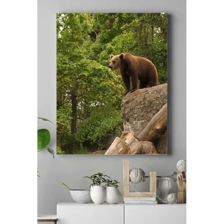 (pster15100) Ayı Hayvan Kanvas Tablo 2 21 x 30