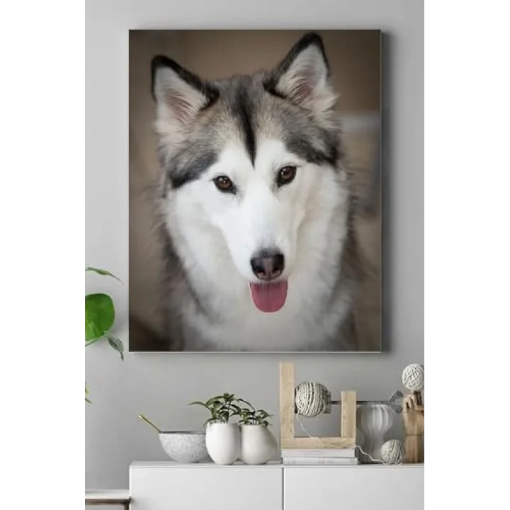 (pster16250) Husky Hayvan Kanvas Tablo 30 x 40