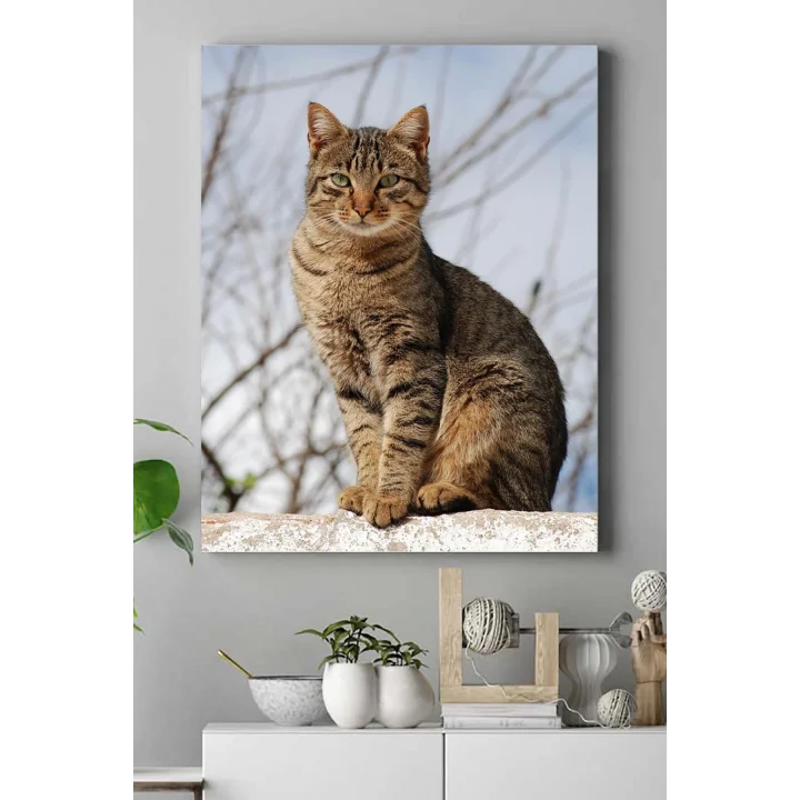 (pster16463) Kedi Hayvan Kanvas Tablo 50 x 70
