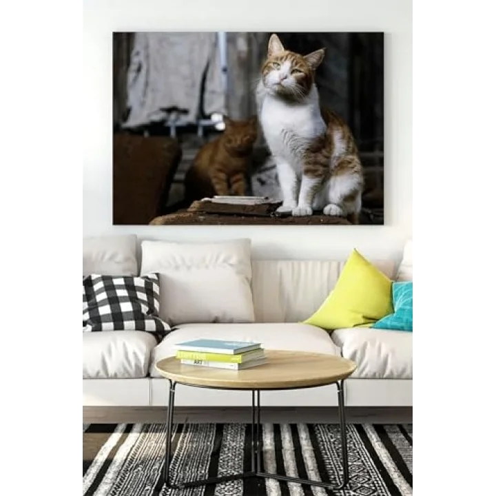 (pster16466) Kedi Hayvan Kanvas Tablo 6 21 x 30