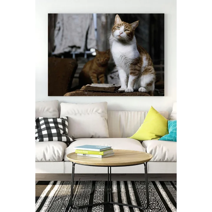 (pster16466) Kedi Hayvan Kanvas Tablo 6 21 x 30