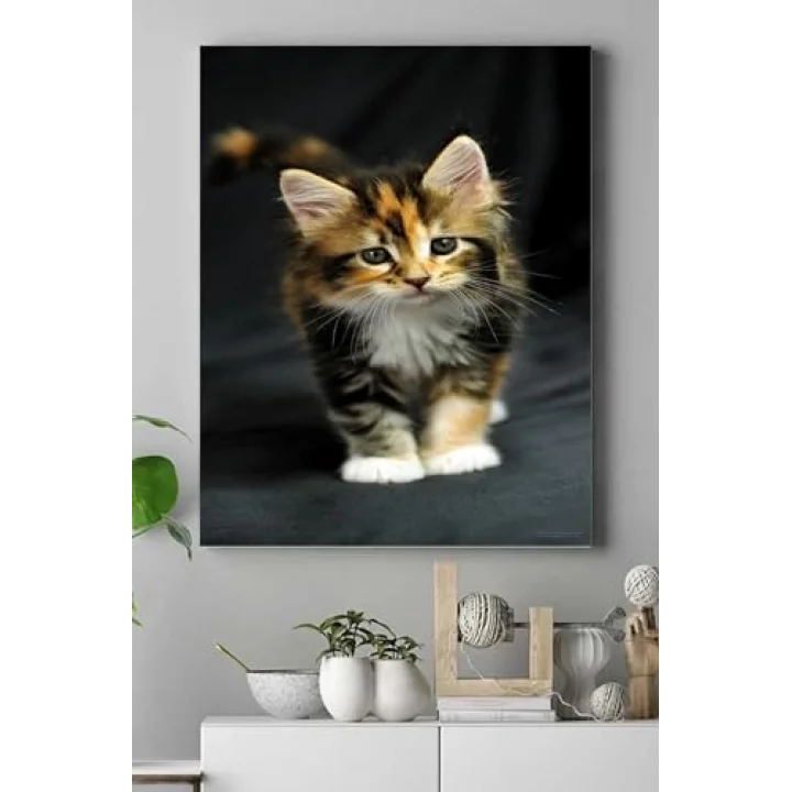 (pster16470) Kedi Hayvan Kanvas Tablo 2 40 x 60