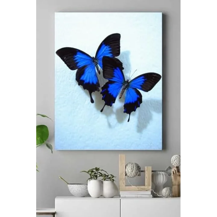 (pster16575) Kelebek Hayvan Kanvas Tablo 50 x 70