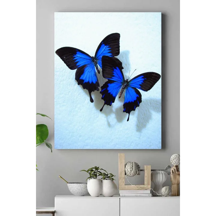 (pster16575) Kelebek Hayvan Kanvas Tablo 50 x 70