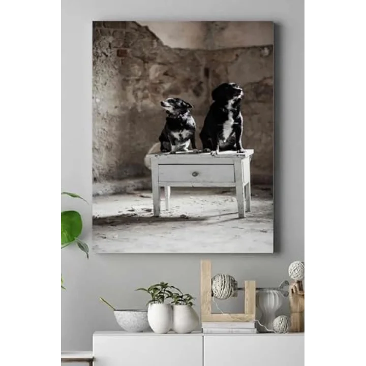 (pster16687) Köpek Hayvan Kanvas Tablo 40 x 60
