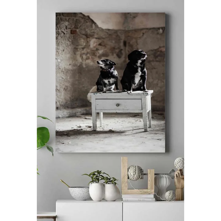 (pster16687) Köpek Hayvan Kanvas Tablo 40 x 60