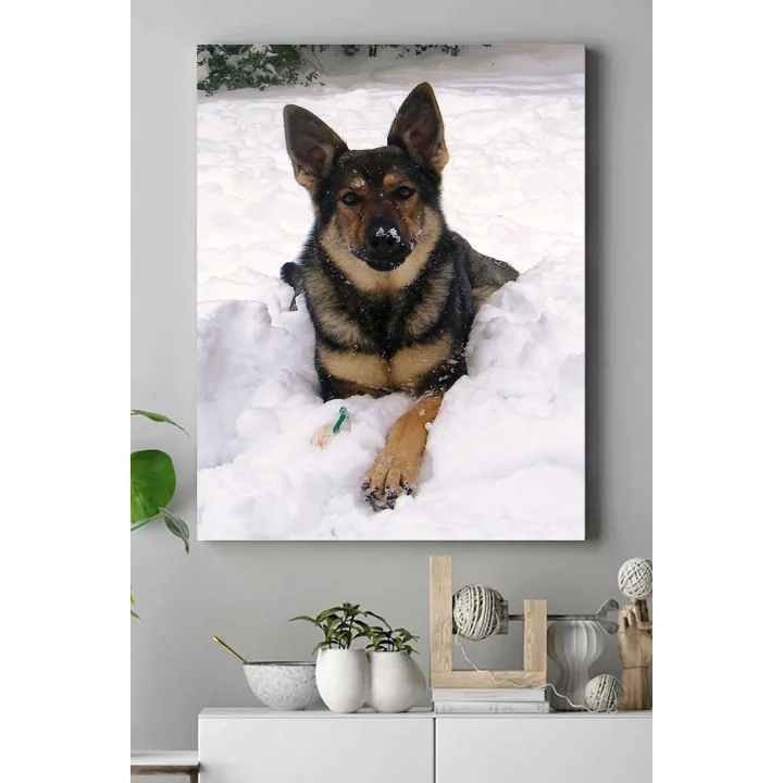 (pster16776) Kurt Köpeği Hayvan Kanvas Tablo 21 x 30