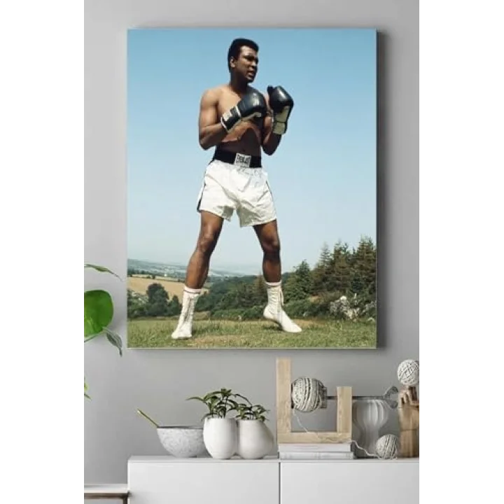 (pster17462) Muhammed Ali Dövüş Kanvas Tablo 2 30 x 40