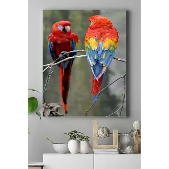 (pster17593) Papağan Hayvan Kanvas Tablo 30 x 40