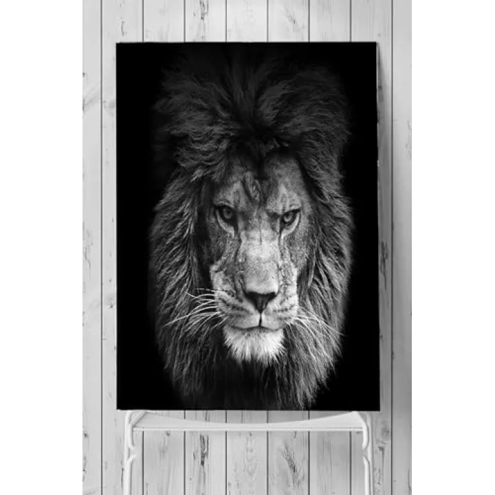 (pster2554) Aslan Motivasyon Poster 3 (90x130cm)